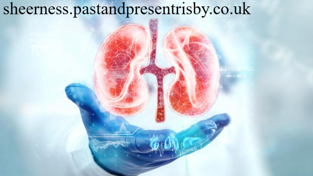 4 Cara Menjaga Kesehatan Ginjal Dengan Benar