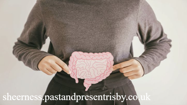 Cara Alami Memelihara Kesehatan Organ Pencernaan